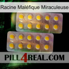 Racine Maléfique Miraculeuse new10